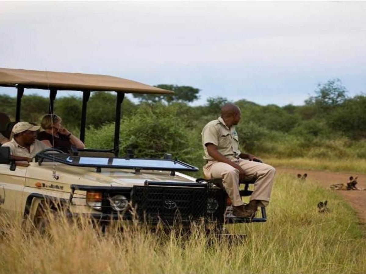 Buffalo Ridge Safari Lodge Madikwe Game Reserve Esterno foto